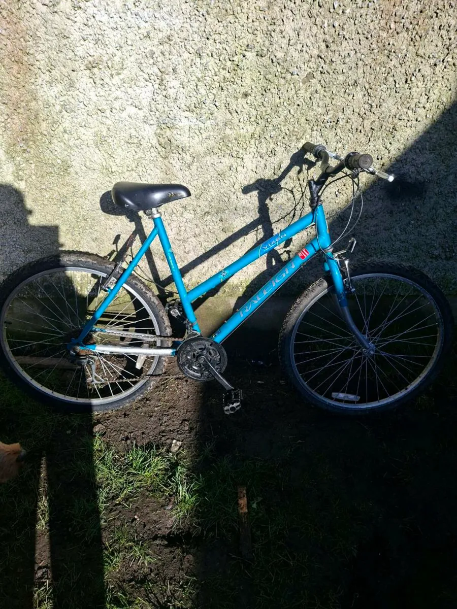 Ladies raleigh vixen bike