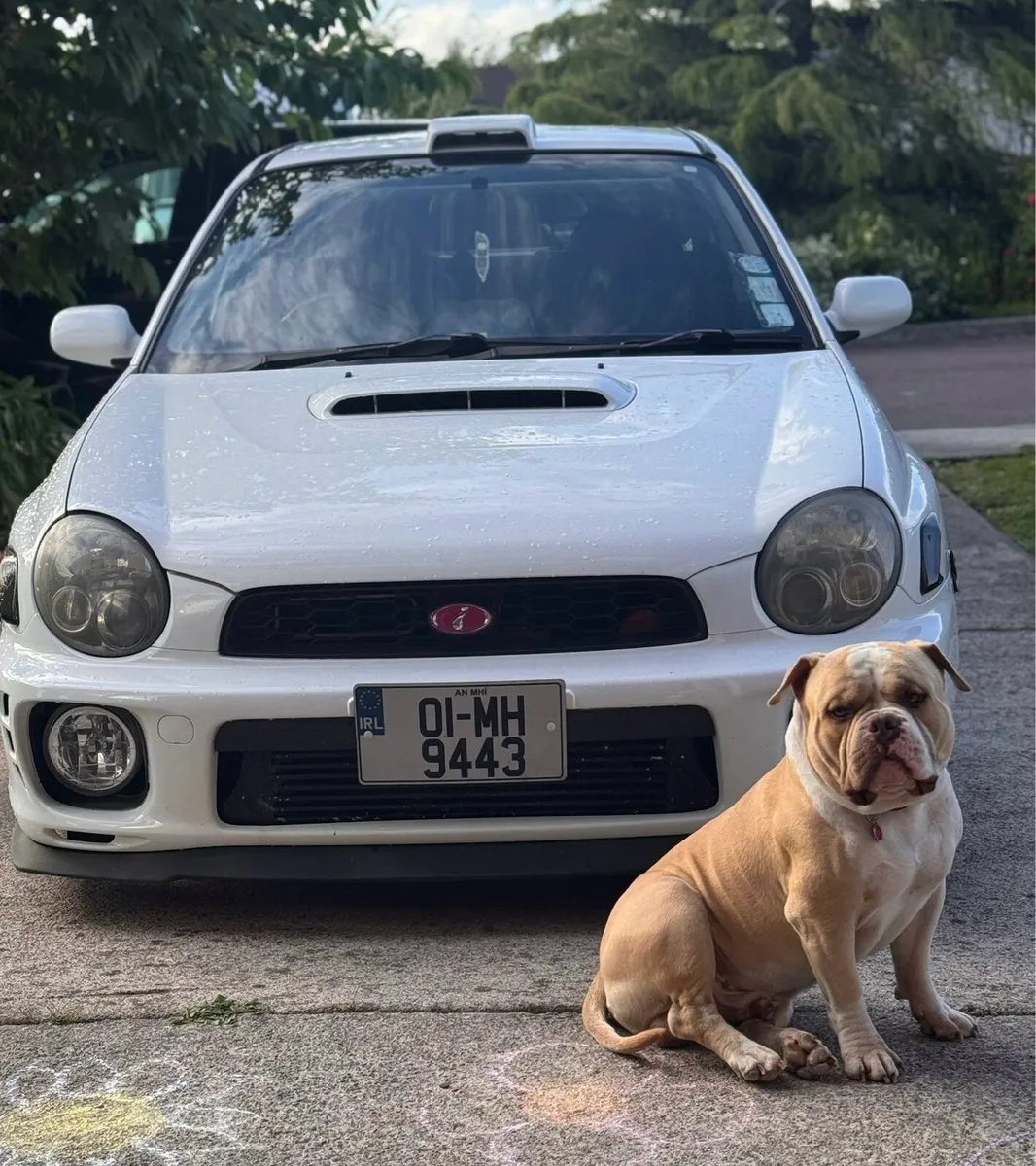 Subaru WRX (STI goodies) fresh NCT! - Image 2