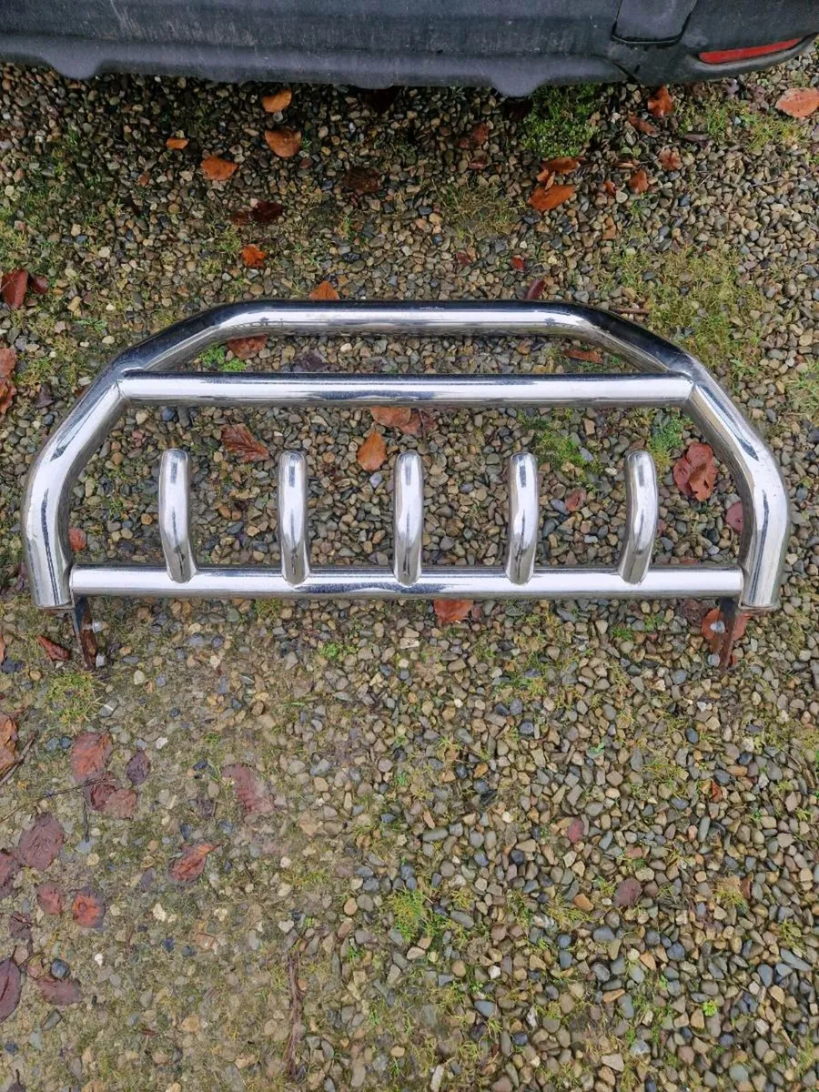 Bull bars - Image 1
