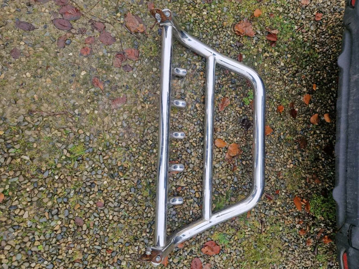 Bull bars - Image 2