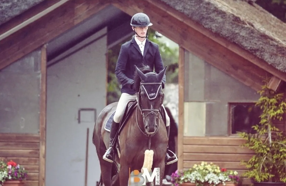 Top amateur/YR / COH horse