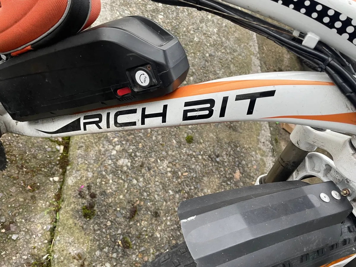 Electric bike - Image 1