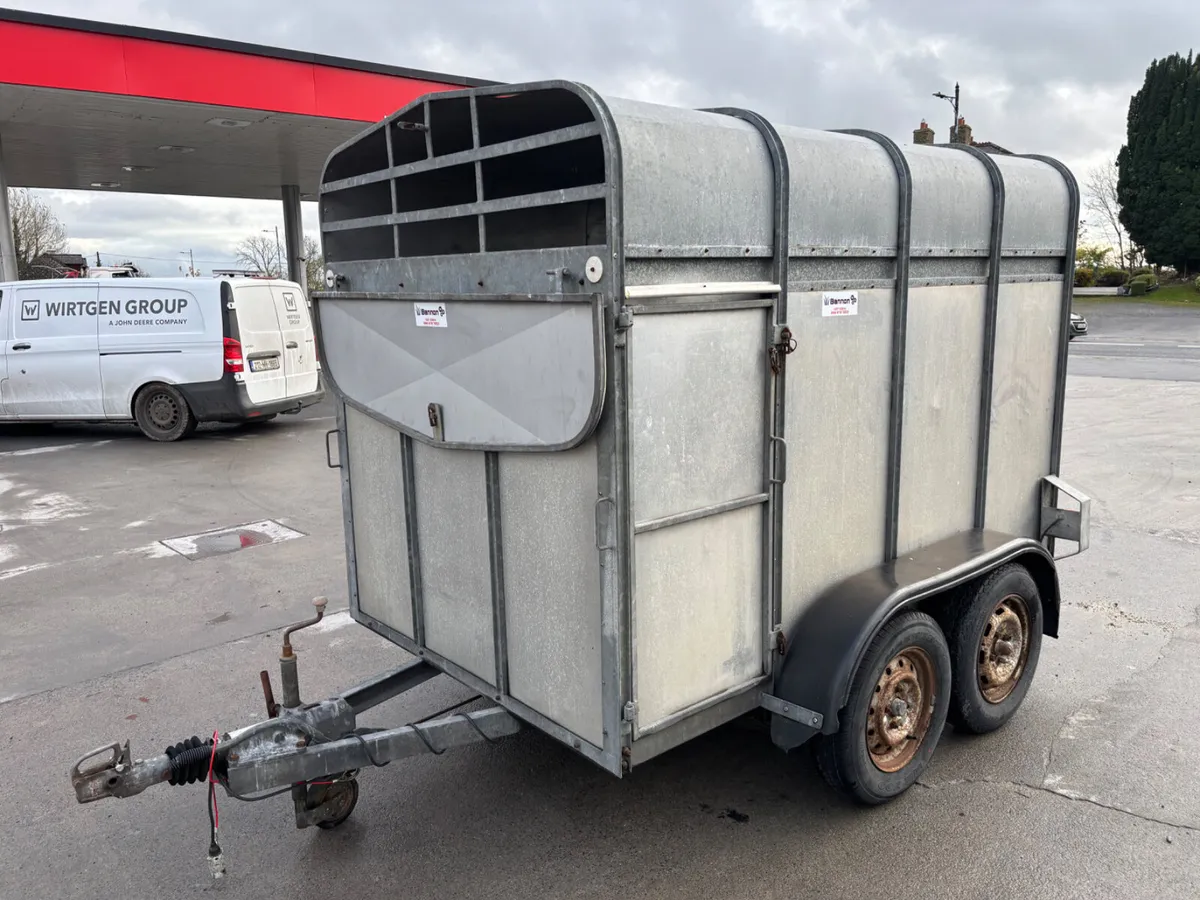 jennings 8ft cattle trailer - Image 2