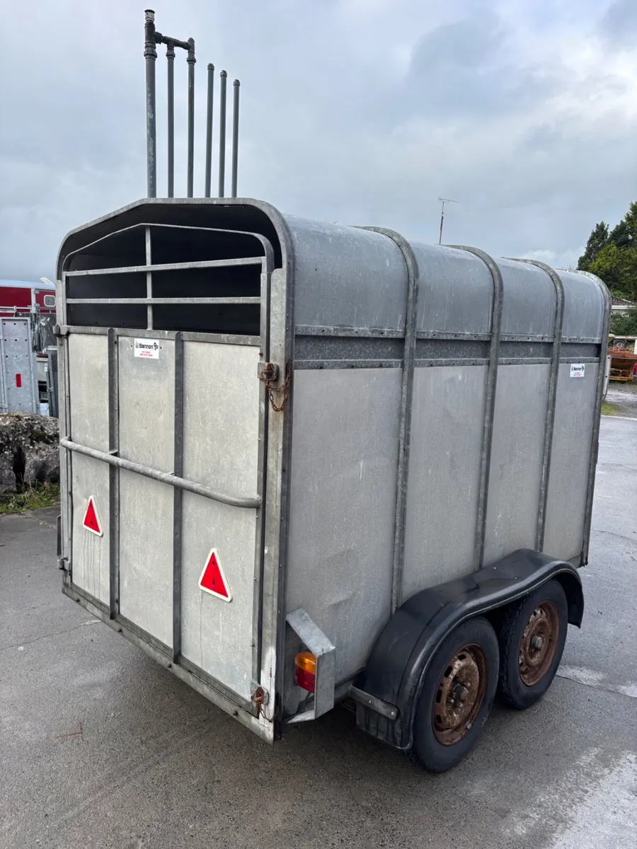 jennings 8ft cattle trailer - Image 4