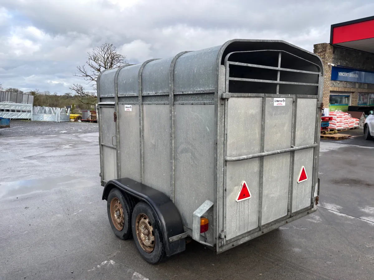 jennings 8ft cattle trailer - Image 3