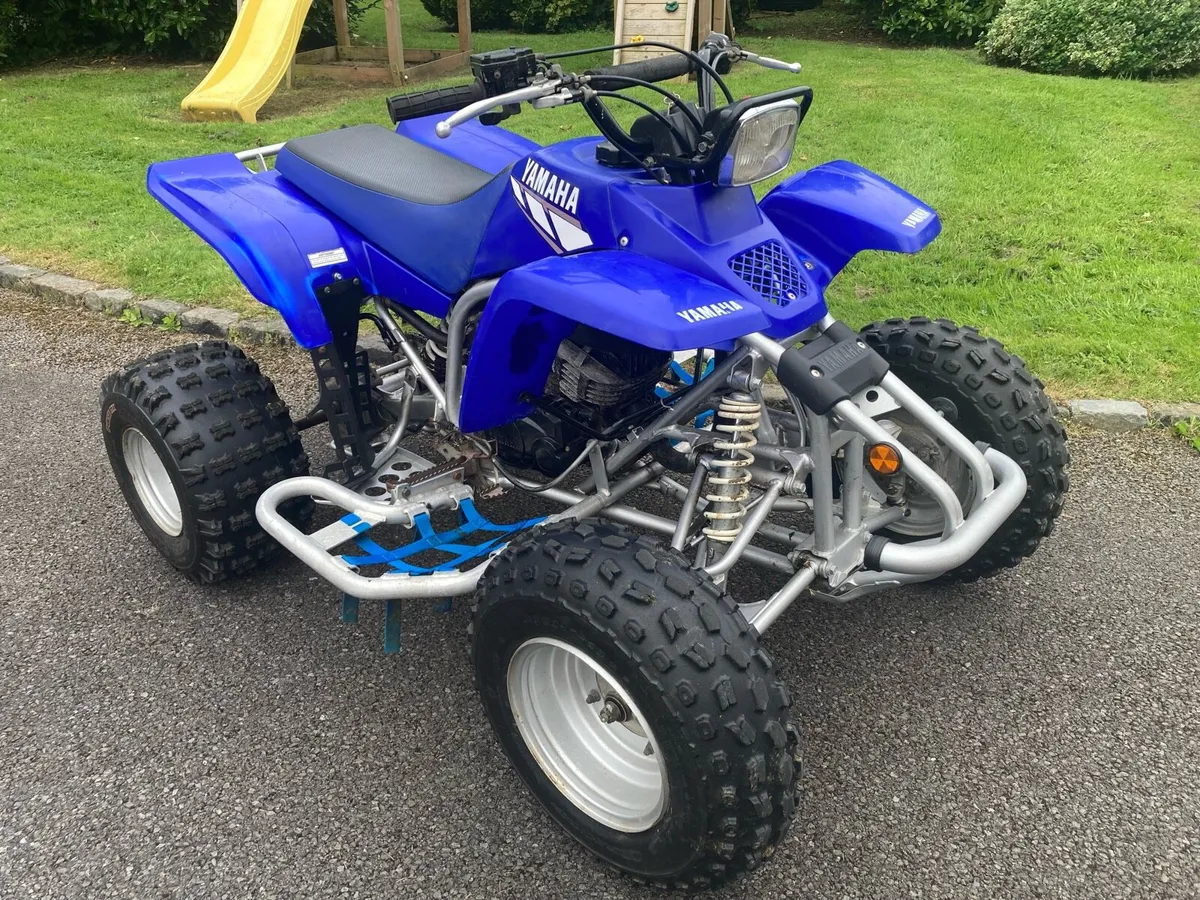 Yamaha Blaster - Image 1