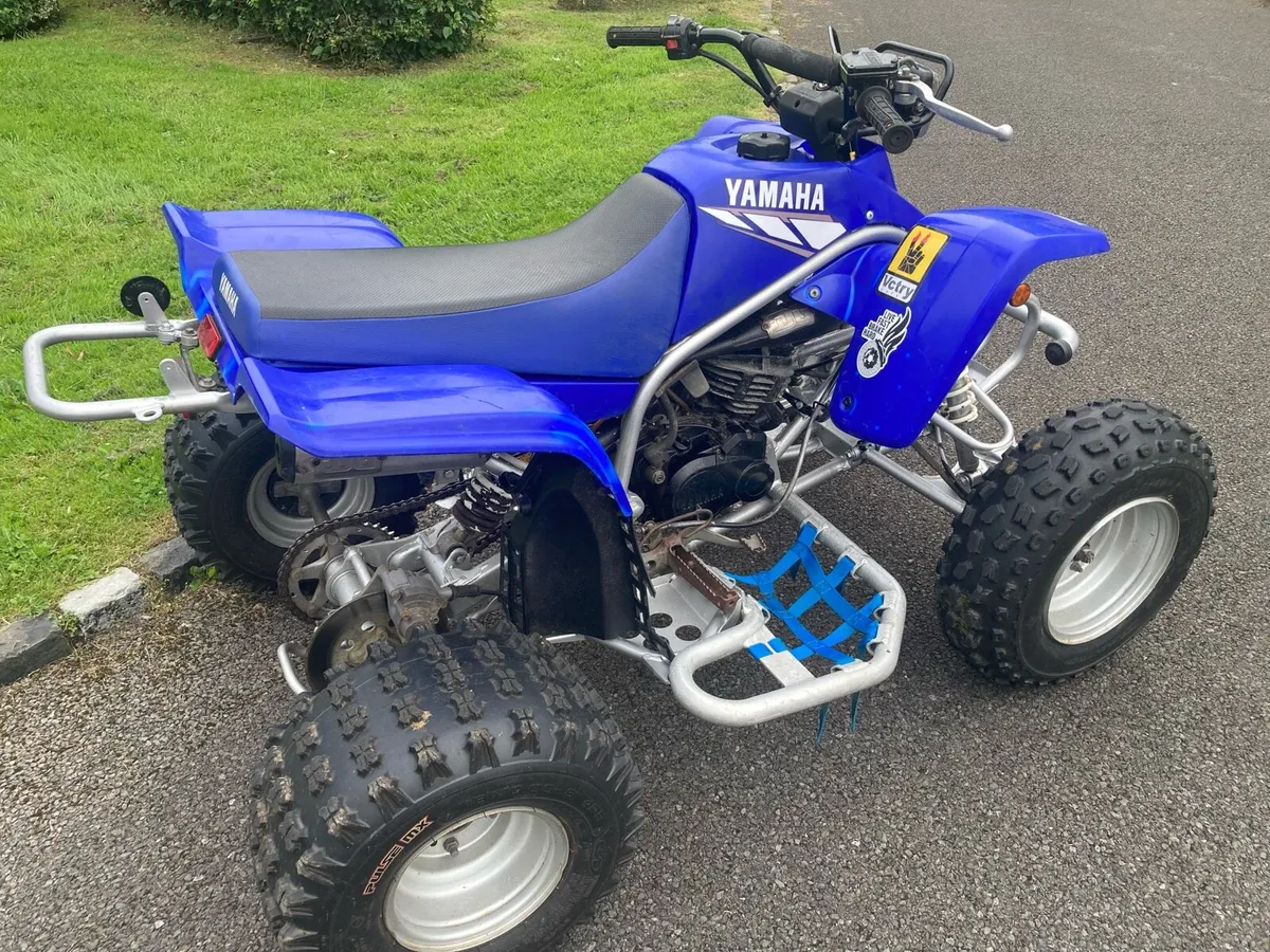 Yamaha Blaster - Image 2