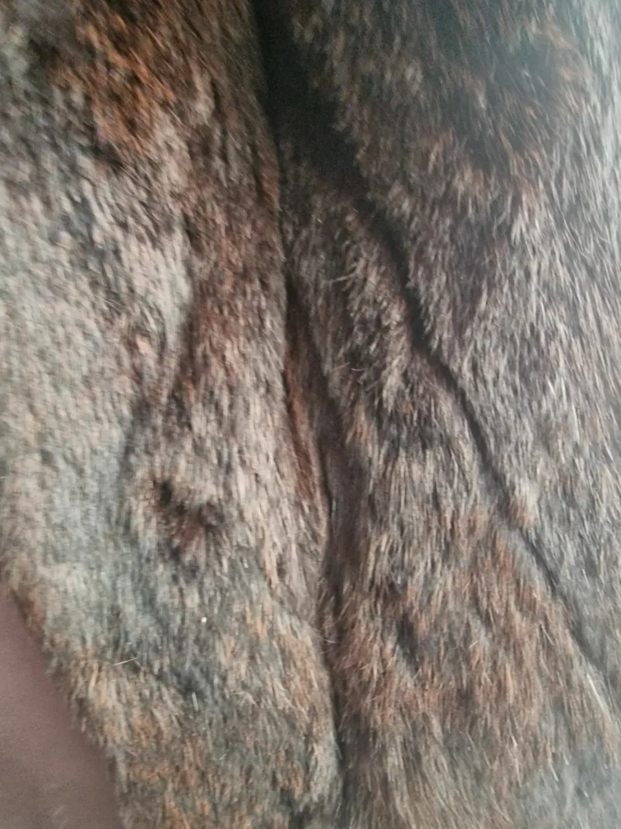Coney fur jacket. - Image 2