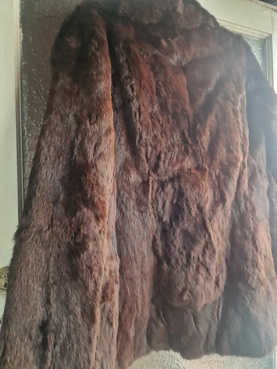 Coney fur jacket. - Image 1
