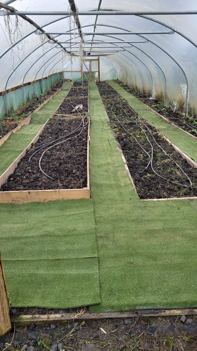 Astro turf for sale - Image 2