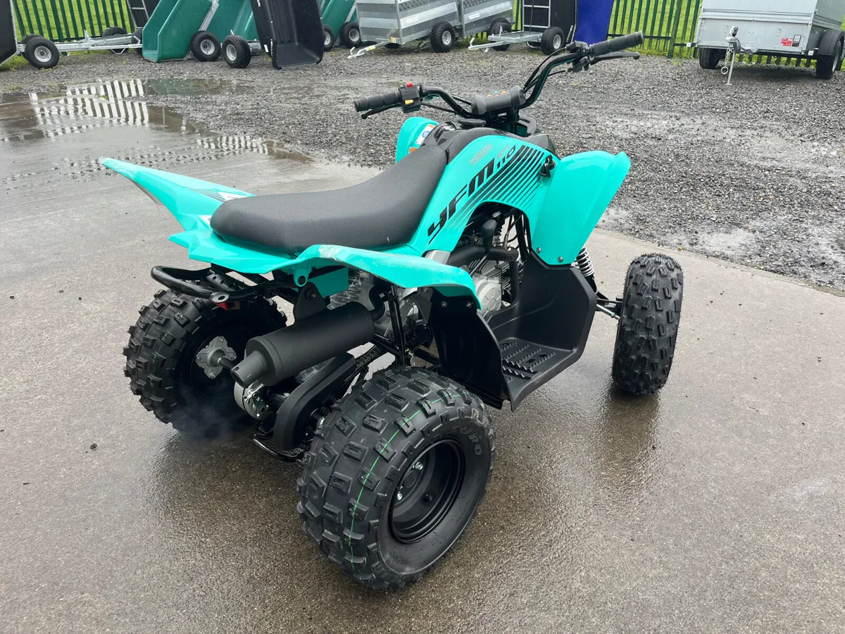 VIDEO! Yamaha Raptor 110cc Kids Quad - Image 4