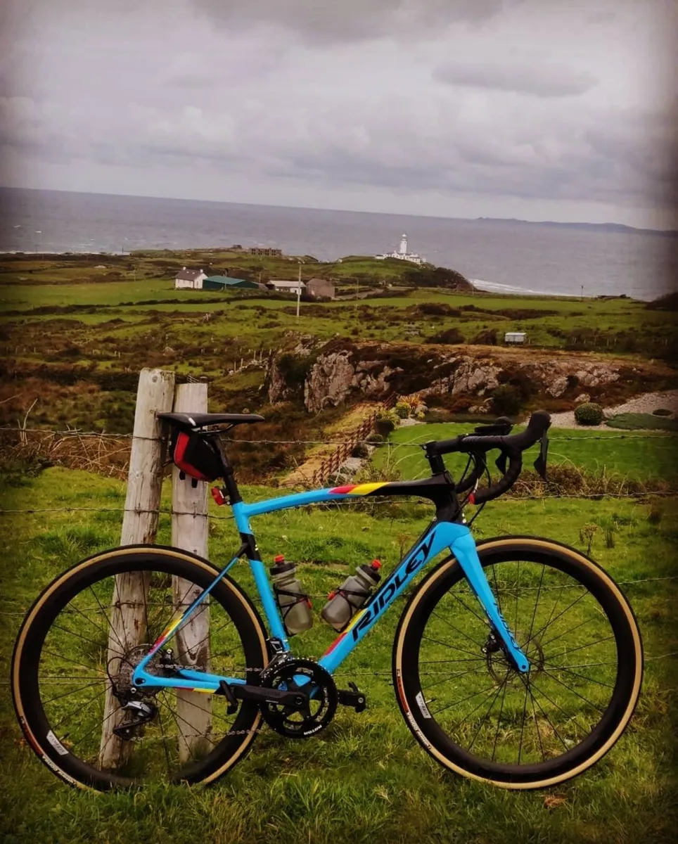 Ridley Fenix sl disc, Belgian blue limited edition - Image 4