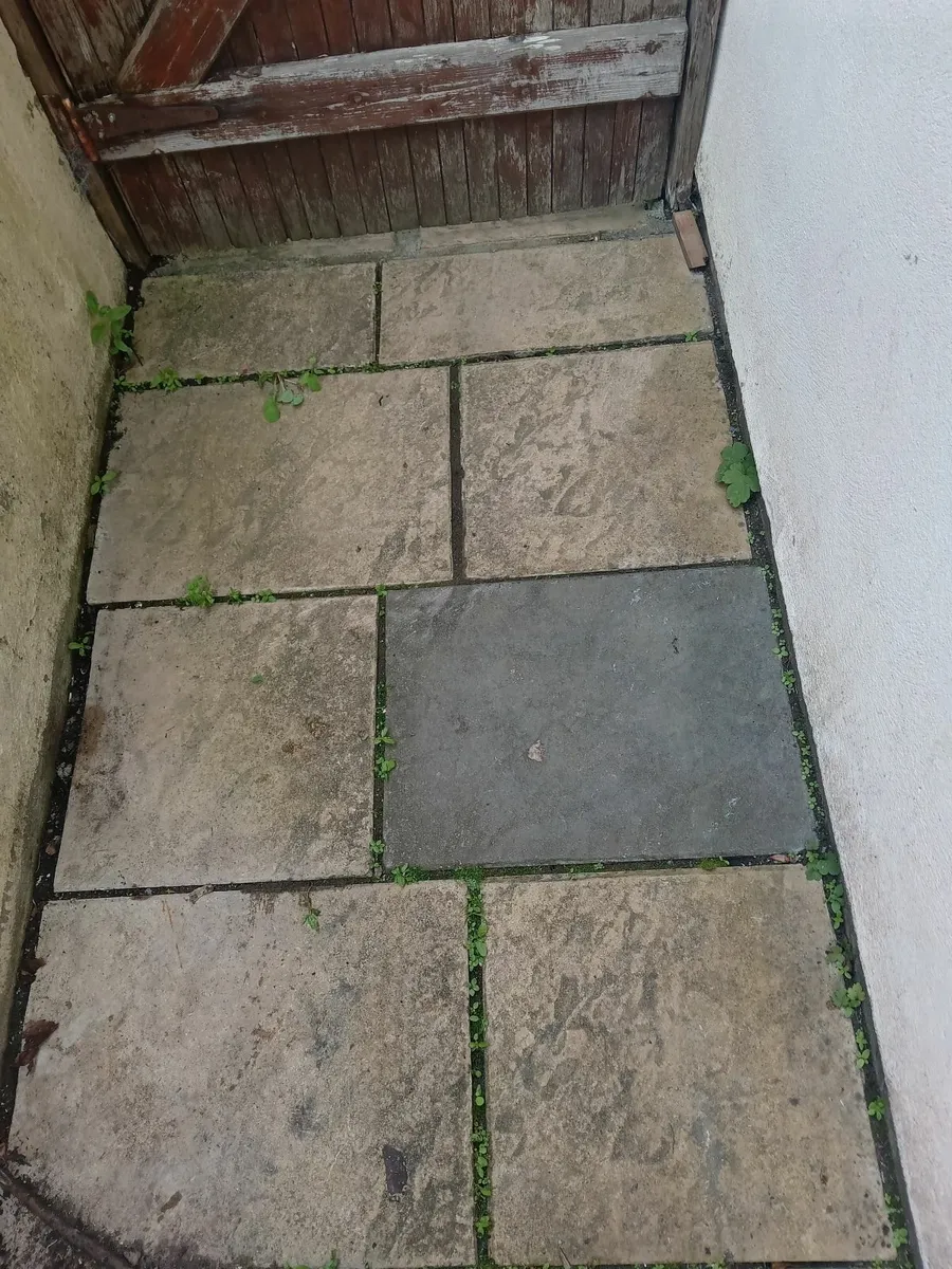 Garden and landscaping