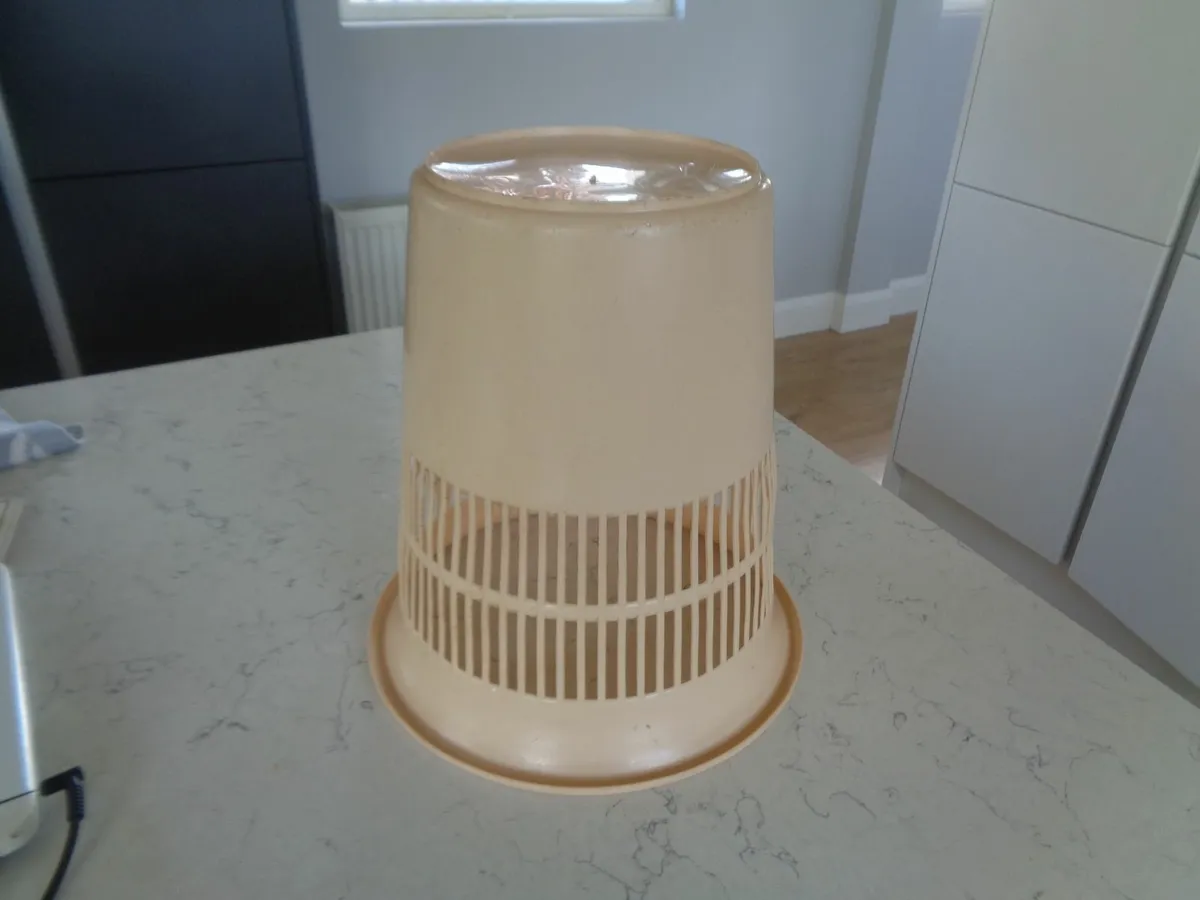 Plastic Bin for Sale - Image 2