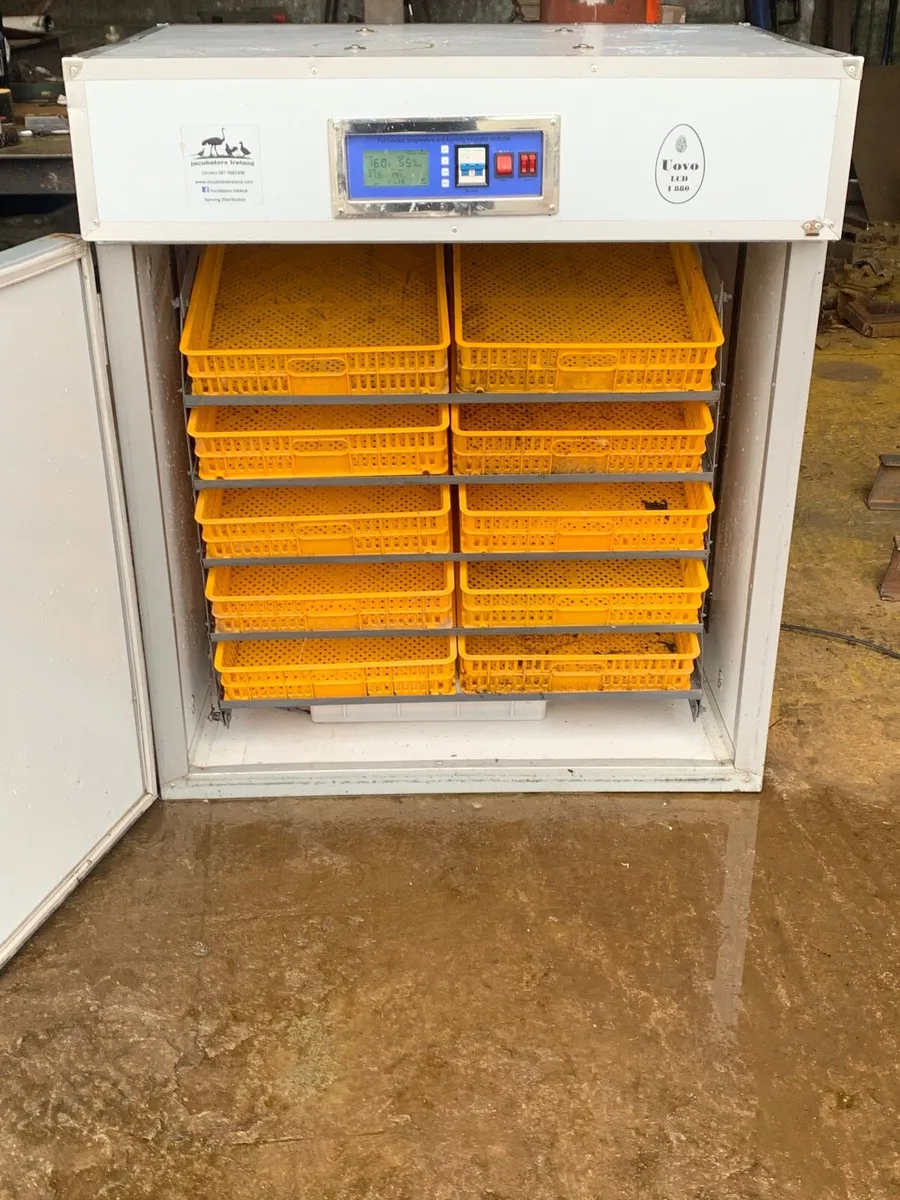 Fully automatic Incubator - Image 2