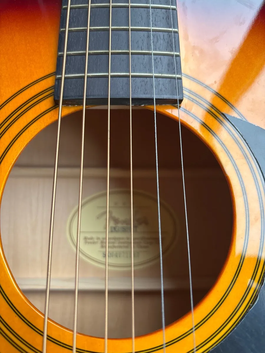 Fender DG5 SBST and Accessories - Image 2