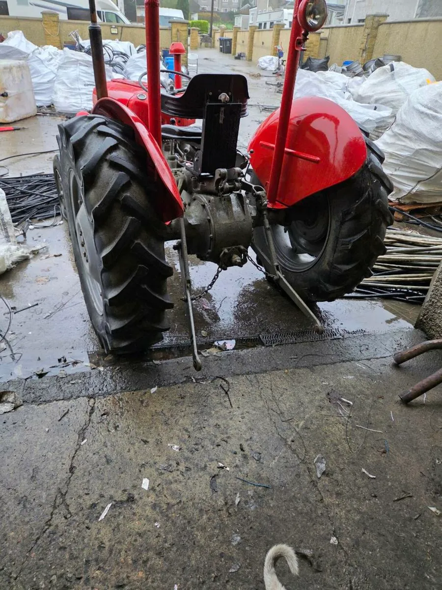 1960 massey ferguson 35 - Image 3