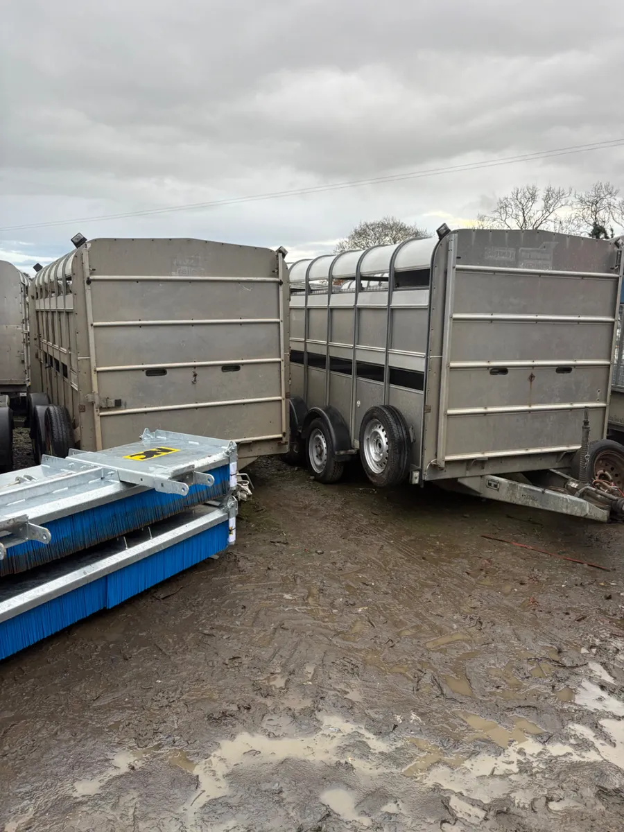 Ifor Williams 12ft cattle trailer