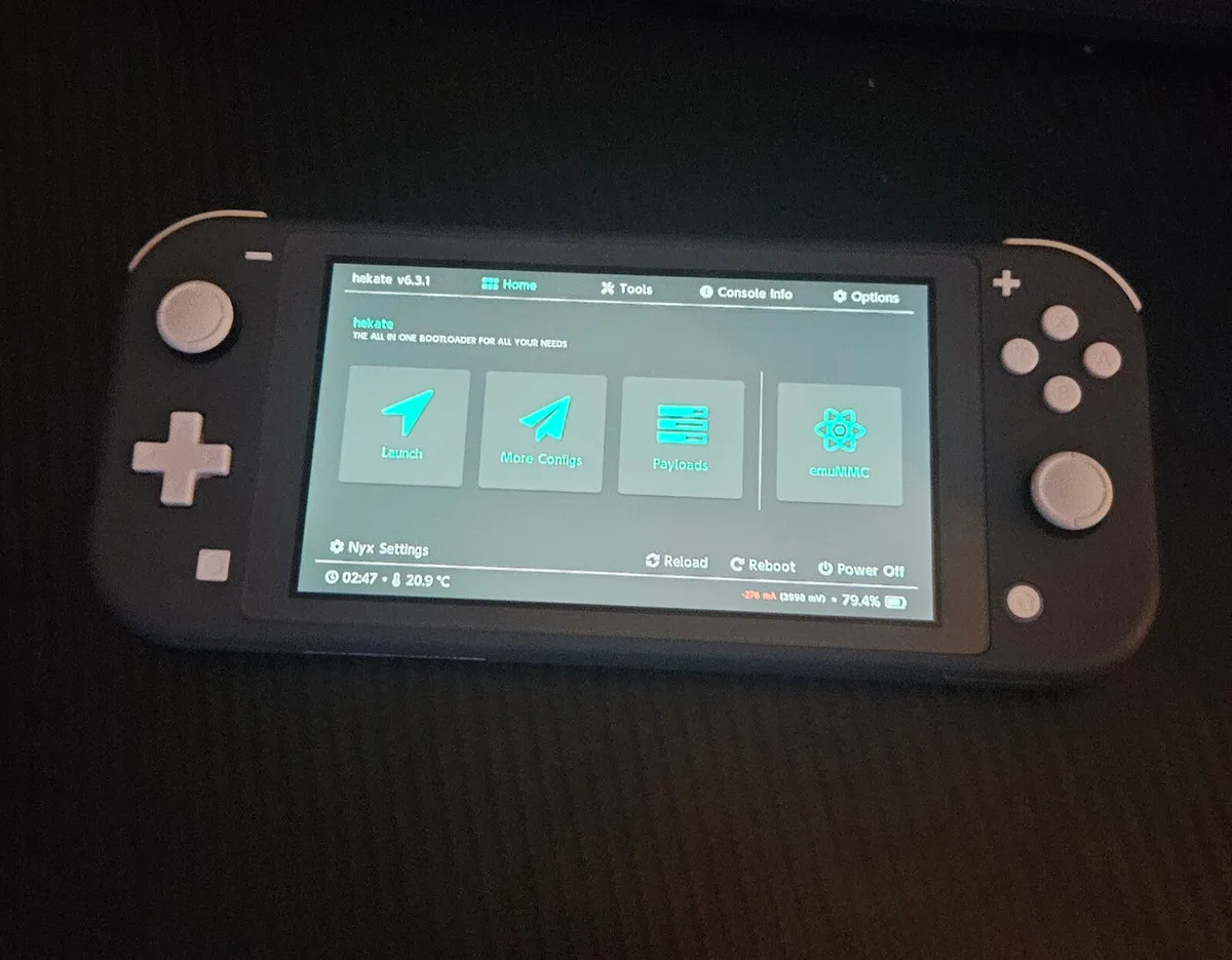 Modded switch lite - Image 1