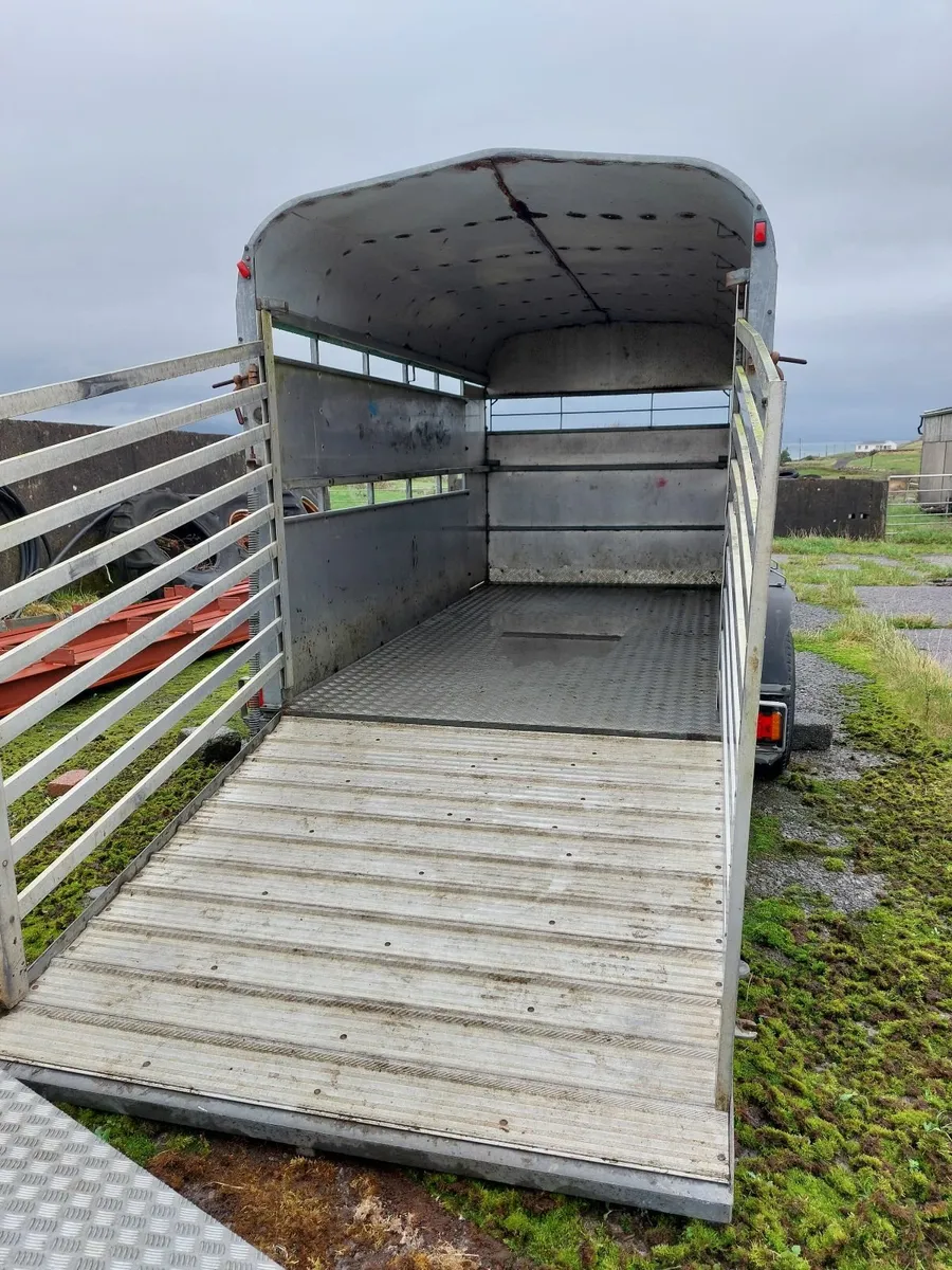 NC cattle/sheep trailer  12x6 - Image 2