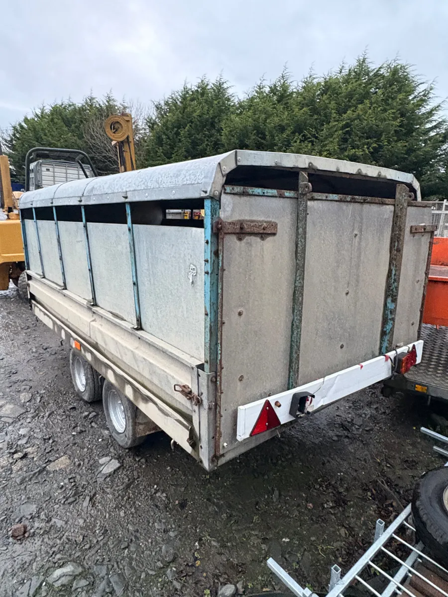10ft young stock trailer - Image 2