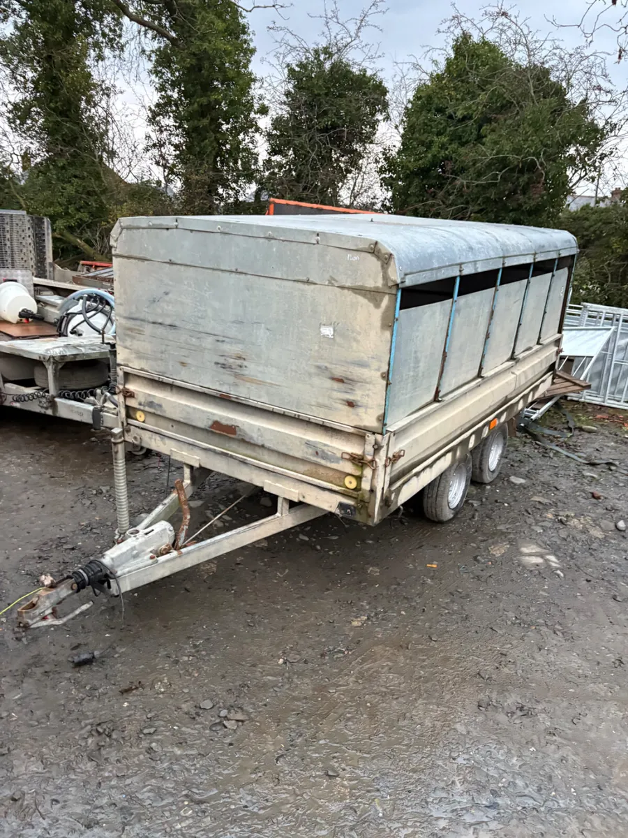 10ft young stock trailer - Image 1