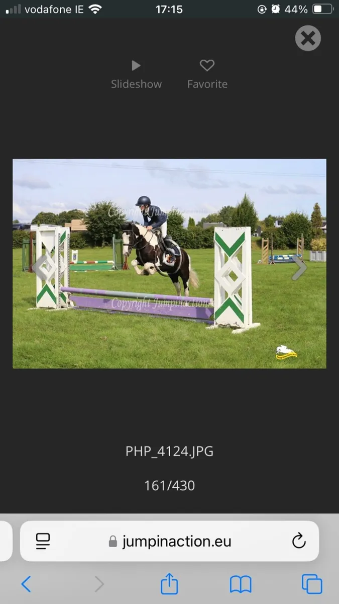 PC/SJ/Allrounder Pony - Image 4