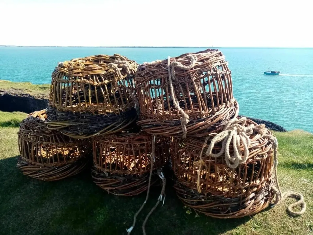 Lobster/crayfish creels - Image 1