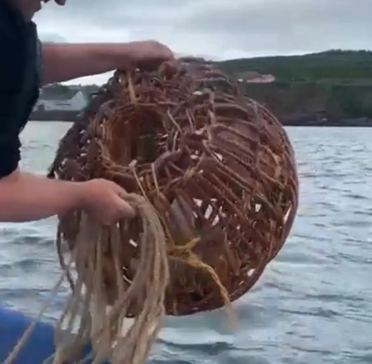 Lobster/crayfish creels - Image 3