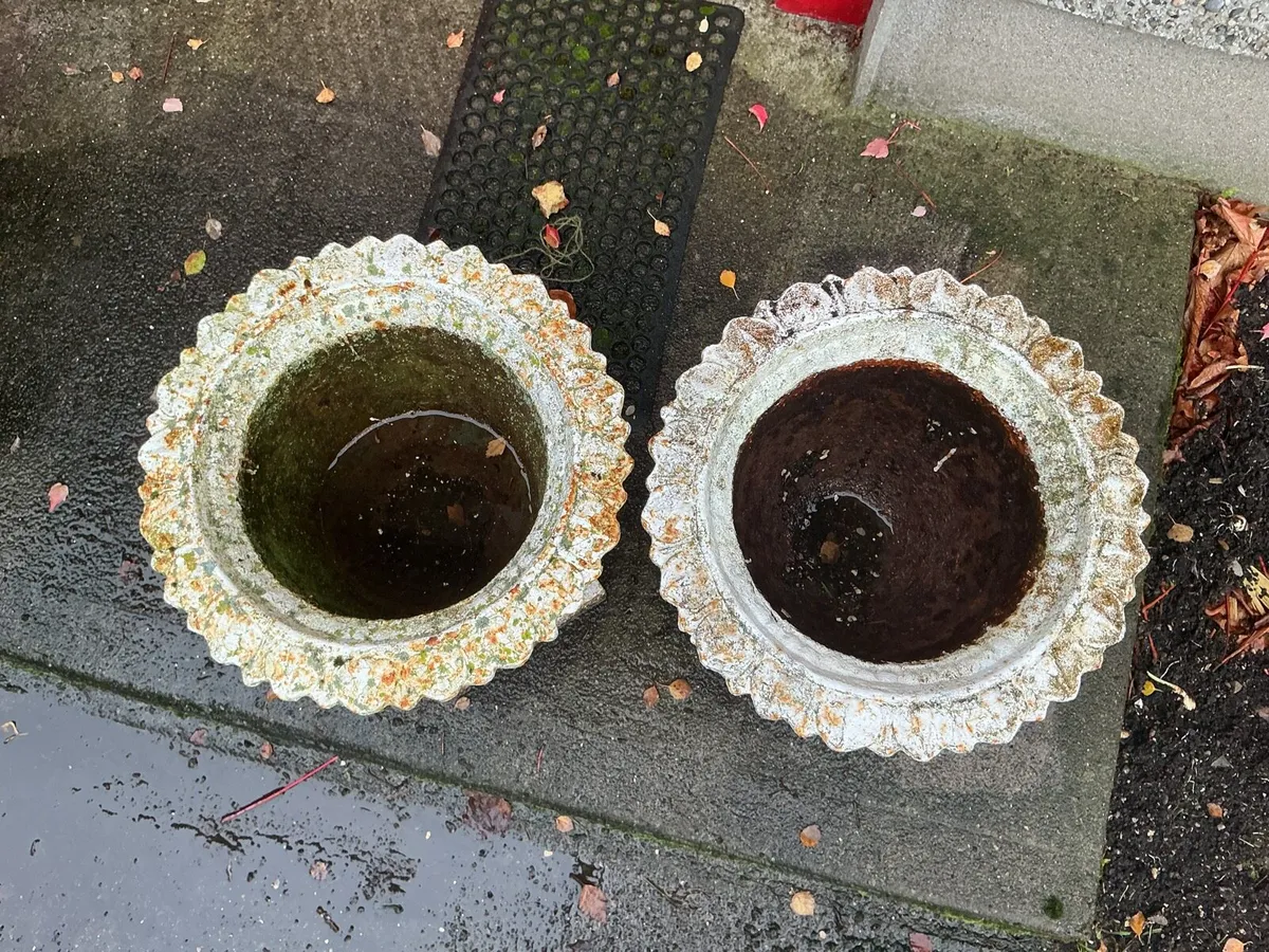 Pair of cast iron planters - Image 3