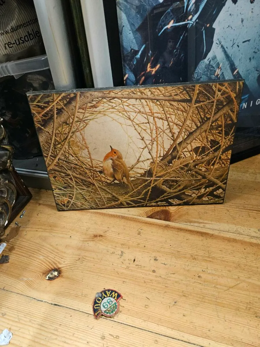 Vintage Picture Print of a Robin - Image 1