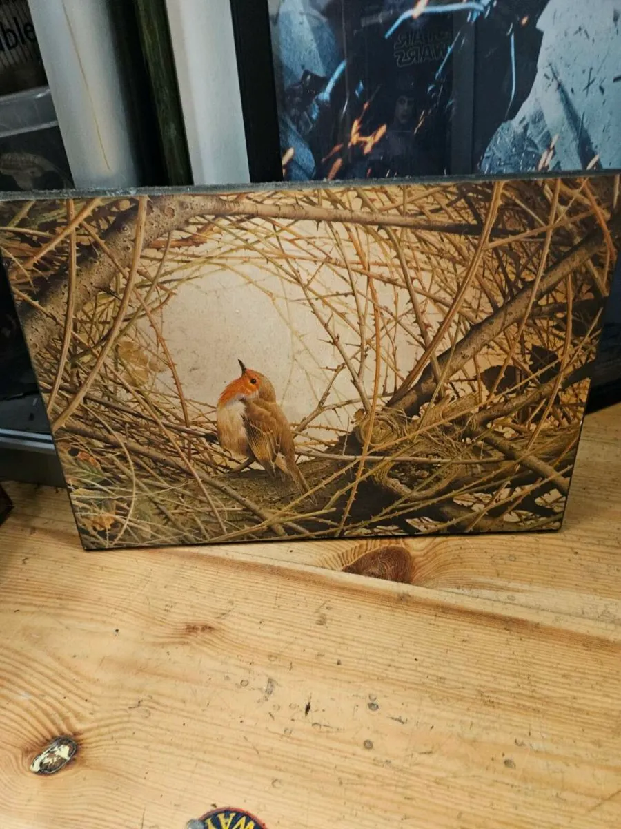 Vintage Picture Print of a Robin - Image 2