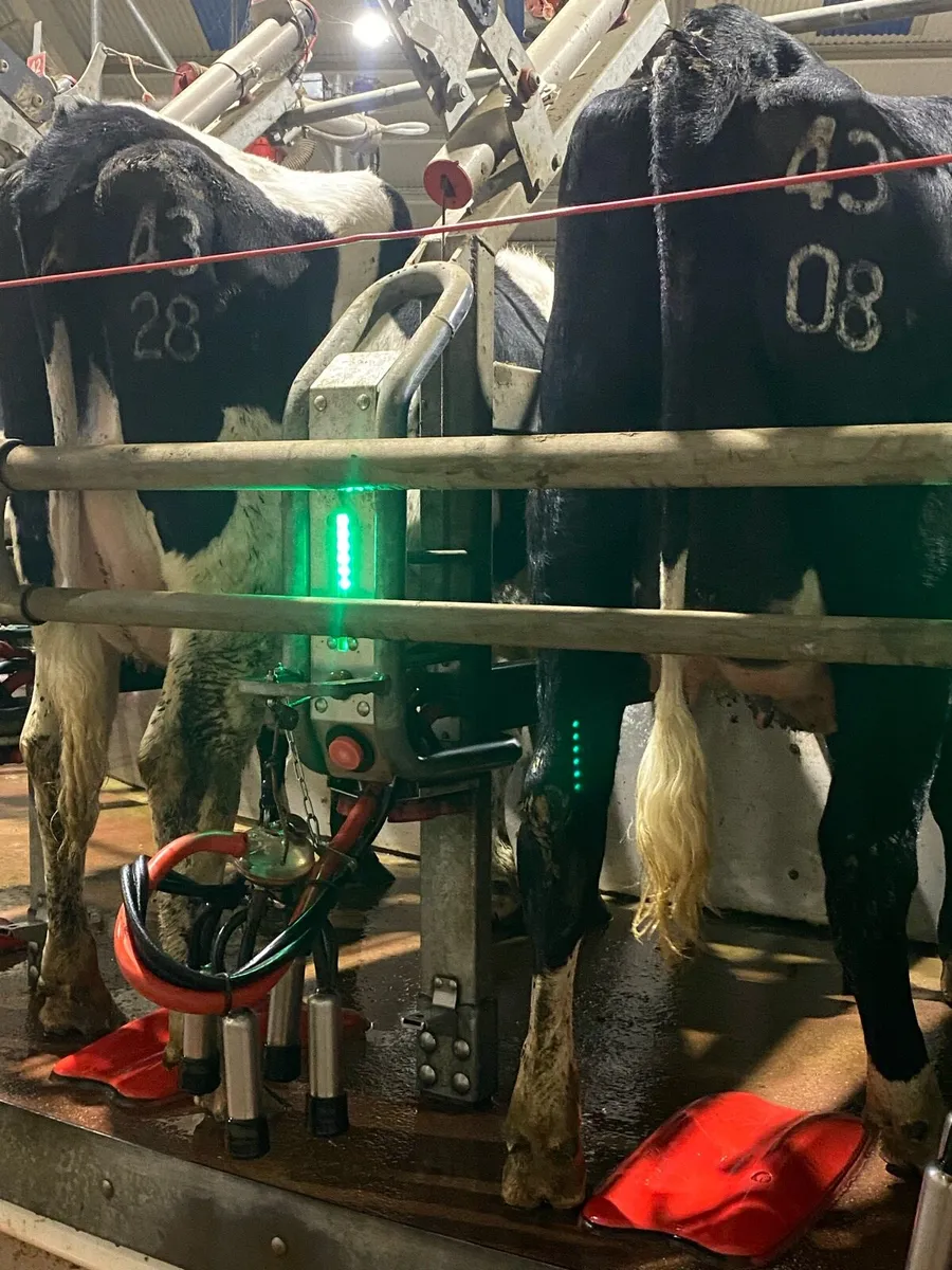 Fresh calved heifers ⭐️ 30 DAY TEST ⭐️ - Image 2