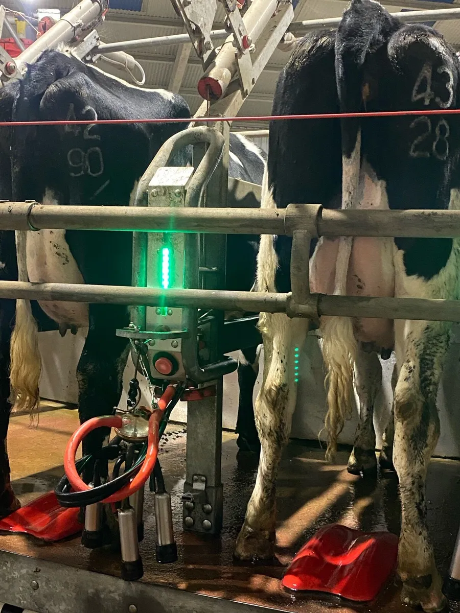 Fresh calved heifers ⭐️ 30 DAY TEST ⭐️ - Image 3