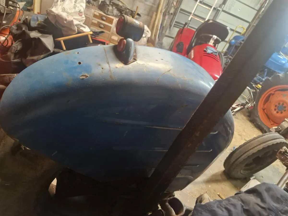 MF35X and Dexta - Image 3