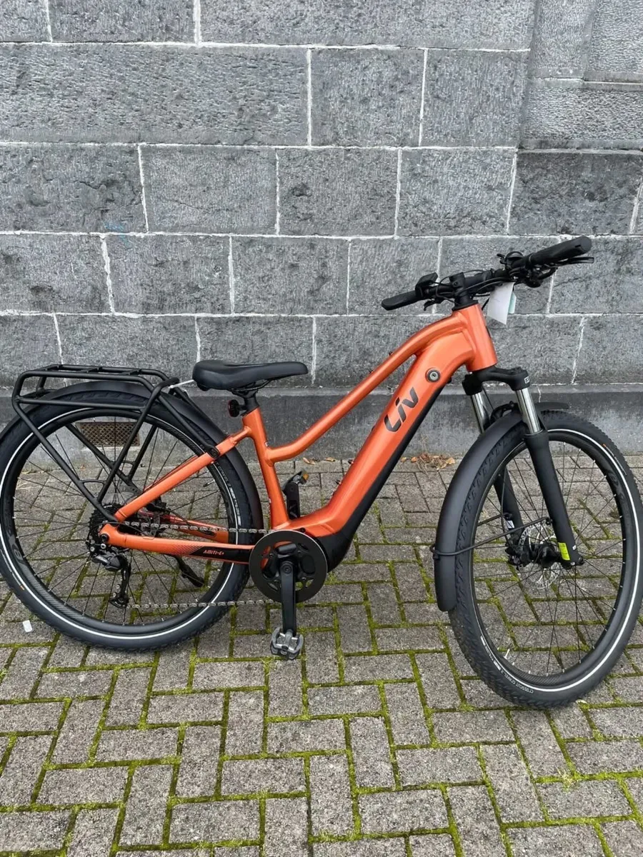 Liv Amiti E+ - Image 1