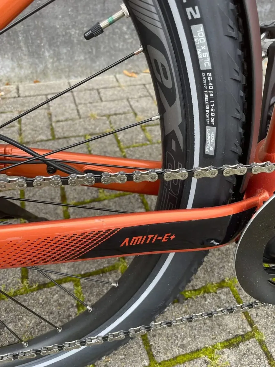 Liv Amiti E+ - Image 3