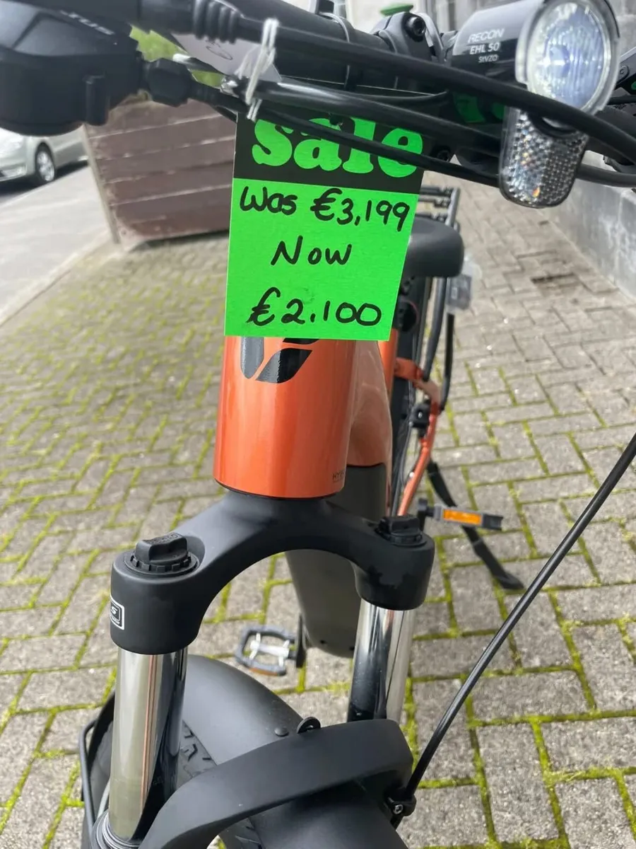 Liv Amiti E+ - Image 4