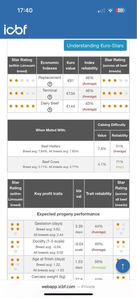 Top class limousin bull - Image 3