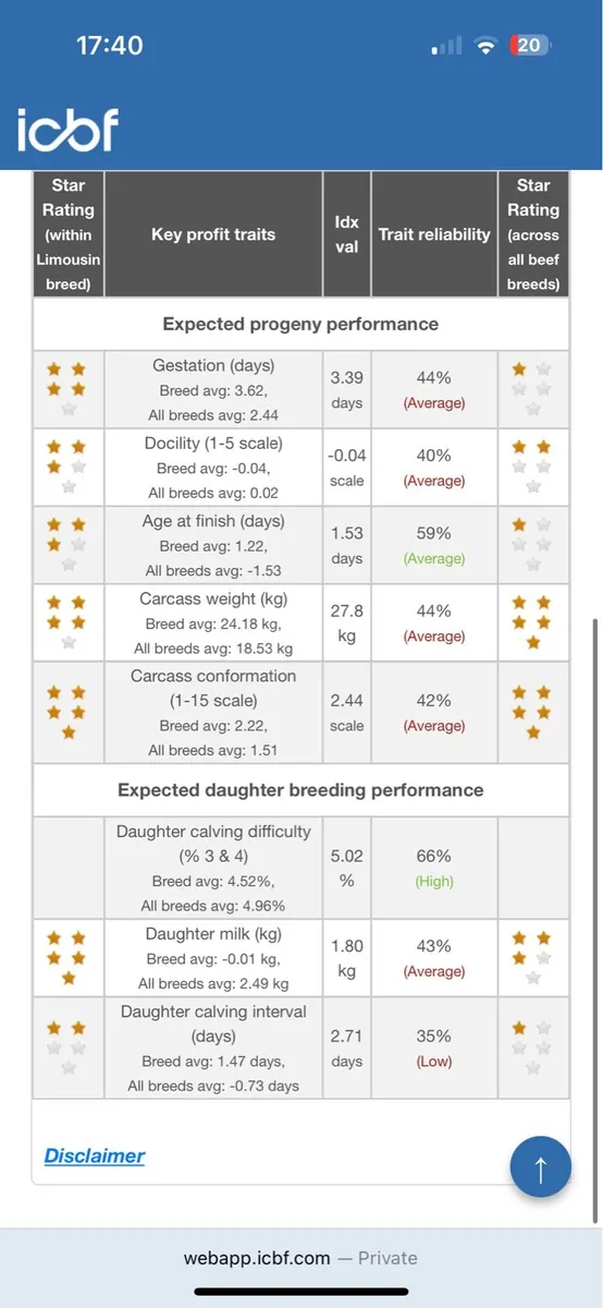 Top class limousin bull - Image 4
