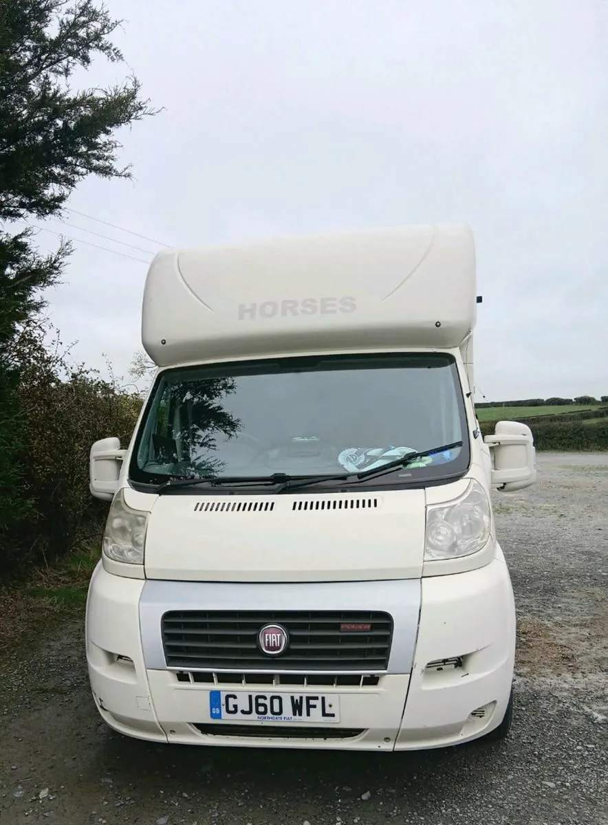 Horse lorry 3.5t - Image 2