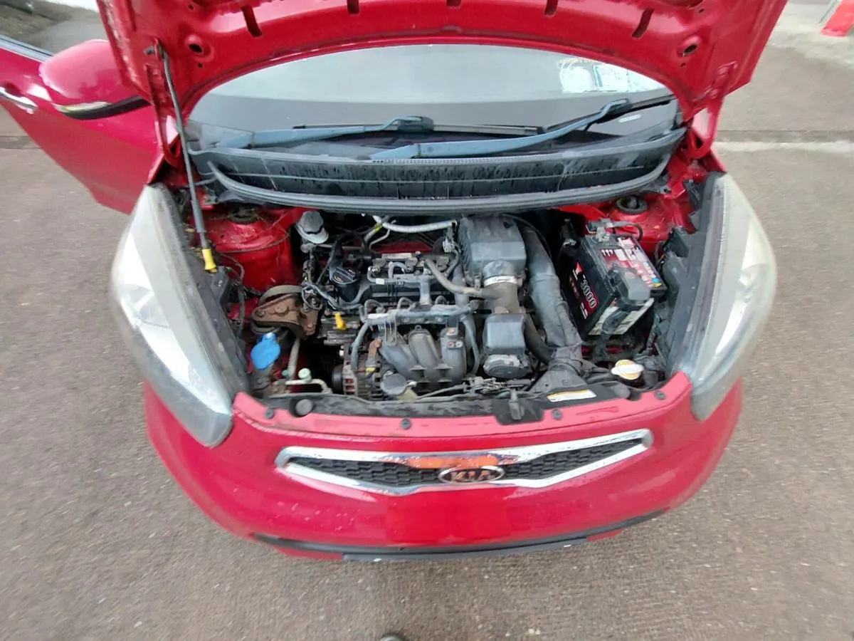 Picanto kiv - Image 2