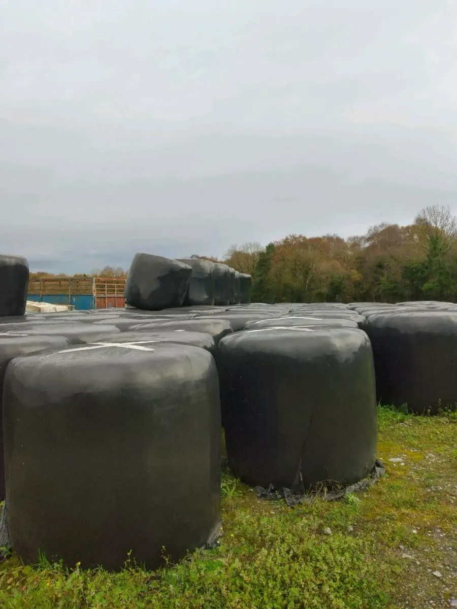 Hay and Silage - Image 1