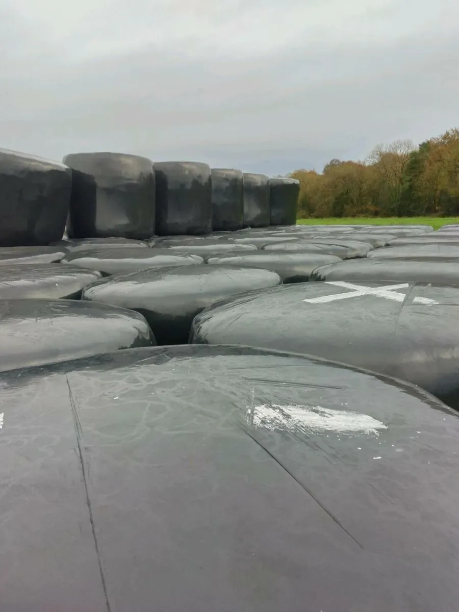 Hay and Silage - Image 2