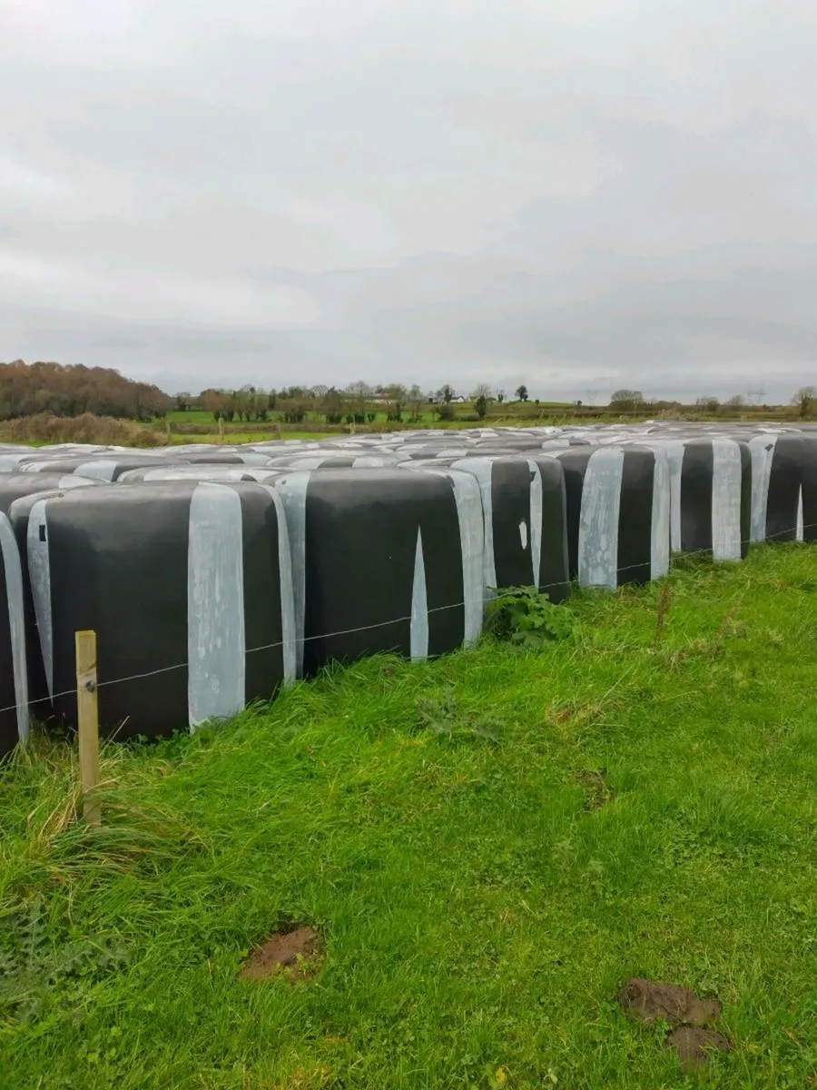 Hay and Silage - Image 3
