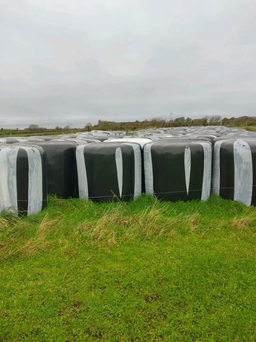 Hay and Silage - Image 4