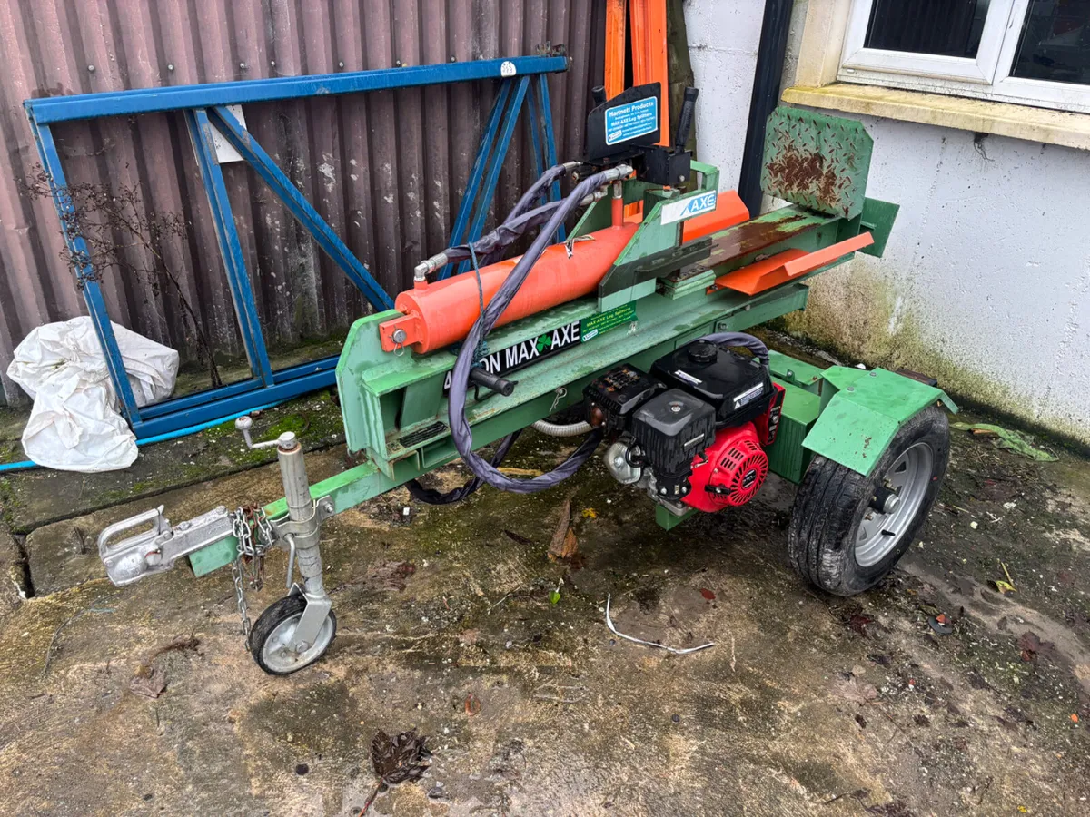 Portlaoise Auction Yard Full for next week - Image 4