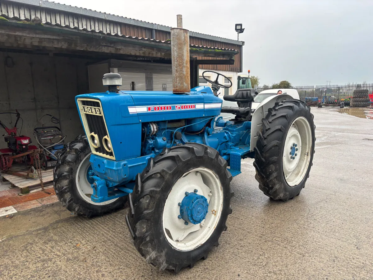 Portlaoise Auction Yard Full for next week - Image 1