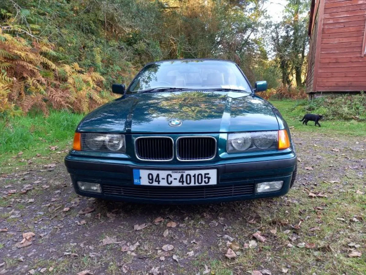 BMW 3-Series 1994 - Image 4