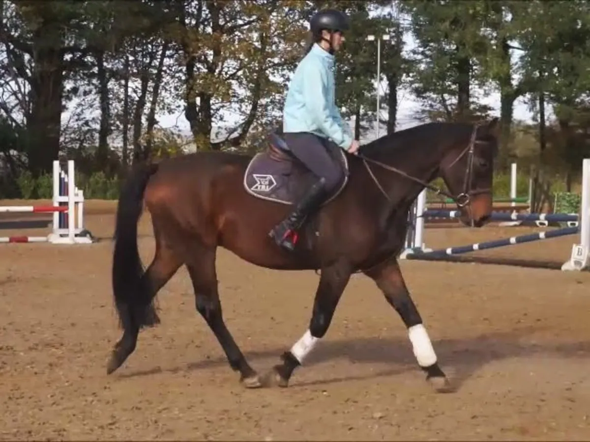 🌟 Super 15.2h All-Rounder 🌟 - Image 3